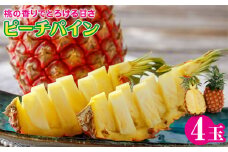 ピーチパイン 4 玉 石垣産 パイナップル ZH-17