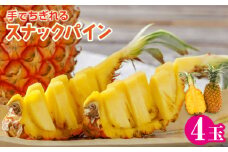 スナックパイン 4 玉 石垣産 ボゴール種【 石垣島スナックパイン ボゴール種 パイナップル 沖縄県 石垣市 】ZH-18 