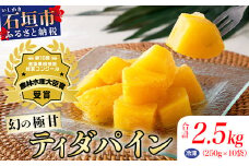 【先行予約】 當銘さんの完熟カットパイン２．５ｋｇ（２５０ｇ×１０袋） ※2024年6月1日から順次出荷予定 YK-3