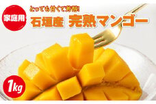 ZH-19 訳あり 石垣産 マンゴー 1kg 家庭用