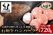 石垣牛ハンバーグ 120g×6個 【高級黒毛和牛 国産 ハンバーグ 国産牛 石垣牛 沖縄県 沖縄 琉球 八重山 八重山諸島 石垣島 石垣 ハンバーグ】AB-16-1