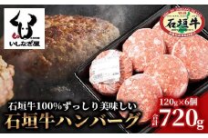 石垣牛ハンバーグ 120g×6個 【高級黒毛和牛 国産 ハンバーグ 国産牛 石垣牛 沖縄県 沖縄 琉球 八重山 八重山諸島 石垣島 石垣 ハンバーグ】AB-16-1