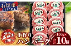 石垣牛 ハンバーグ セット (100g×10個)＜ご入金確認後1ヶ月程度で発送＞【国産 石垣牛100% 沖縄 石垣島産 高級 黒毛和牛 ビーフ ハンバーグセット 】