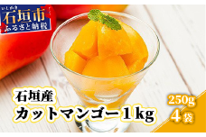 石垣産カットマンゴー１ｋｇ（２５０ｇ×４袋）YK-6