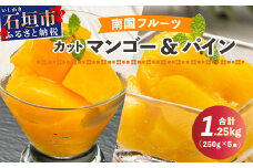 YK-7 當銘さんの完熟カットパイン３袋＆石垣産カットマンゴー２袋（計：１．２５ｋｇ）