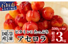 ZH-20 沖縄 石垣島産 《ご家庭用》アセロラ3㎏（冷凍）