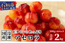 ZH-21 沖縄 石垣島産 《ご家庭用》アセロラ2㎏（冷凍）