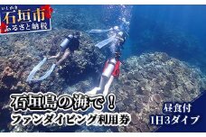 MP-2 石垣島の海でファンダイビング利用券１日３ダイブ