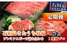 【6回定期便】石垣島きたうち牧場プレミアムビーフ 詰め合わせ 牛肉 肉 定期 肉定期便 6ヶ月 6ヵ月 しゃぶしゃぶ ステーキ 切り落し 切り落とし 焼き肉 すき焼き サーロイン モモ 赤身 AM-17