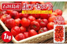 【期間限定】石垣島産生アセロラ1kg ZH-22