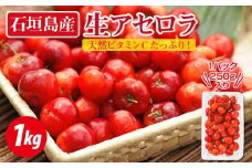 【期間限定】石垣島産生アセロラ1kg ZH-22