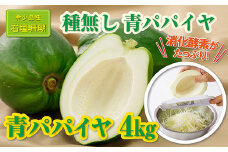 ZH-23 石垣産 青パパイヤ4kg 種なし 希少品種 「 石垣珊瑚 」