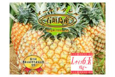 HP-4 石垣島産 最高級パイン ゴールドバレル Lサイズ6玉（9kg以上）