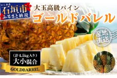 【先行予約】【訳あり】《2025年夏季 順次発送》石垣島産・ゴールドバレルパイン 高級パインですが「訳あり」の大小混合セット 【規格外】SI-7-1