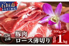 【産地直送】石垣の恵 アグー豚 豚肉ロース薄切り 500g×2パック【合計1kg】KB-33