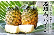 【先行受付】《2025年6月～8月順次発送予定》パイナップル（ハワイ種）沖縄 4玉入 約3.5kg 石垣島 農家直送 パインアップル 産地直送 パイン フルーツ TK-6
