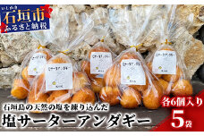 【合計30個】石垣島 塩サーターアンダギー 6個×5袋【石垣島の天然の塩 使用】【大人気店！！ トロピカルカフェマス】 TM-1