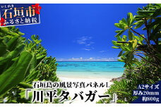 NN-2 石垣島の風景 写真パネルL（川平タバガー）
