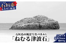 NN-6 石垣島の風景 写真パネルL（ねむる津波石）