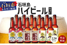 V-25 石垣島ハイビール 12本セット