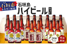 V-26 石垣島ハイビール 24本セット