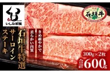 石垣牛特選サーロインステーキ300g×2枚（いしなぎ屋）AB-18
