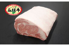 JA石垣牛サーロイン原木ハーフ　I-20