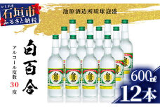 IK-9 池原酒造 白百合 600ml 30度 12本セット 