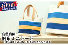 【石垣島の藍染工房】バッグ 帆布 ミニトート KB-172-1
