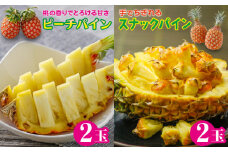 ピーチパイン スナックパイン 各2玉セット 石垣島産 ZH-24