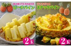 ピーチパイン スナックパイン 各2玉セット 石垣島産 ZH-24