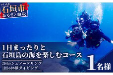 【体験ダイビング】石垣島で体験ダイビング1日コース（1名様） MO-1