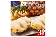 E-25 石垣島産 有機パイナップル(ピーチ種) 3玉入り(約2kg前後)