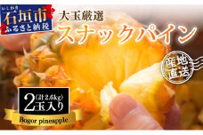 【先行予約】《2025年夏季 順次発送》石垣島産・スナックパイン、ずっしりの「大玉」2個入り SI-25