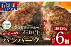 やえやまファームの石垣牛ハンバーグ 6個セット E-27