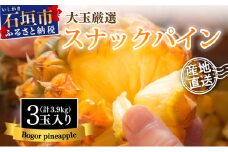 【先行予約】《2025年夏季 順次発送》石垣島産・スナックパイン、ずっしりの「大玉」3個入り SI-26-1
