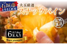 【先行予約】《2025年夏季 順次発送》石垣島産・スナックパイン、ずっしりの「大玉」6個入り SI-27-1