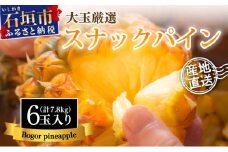 【先行予約】《2025年夏季 順次発送》石垣島産・スナックパイン、ずっしりの「大玉」6個入り SI-27-1
