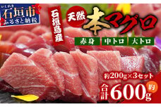 【数量限定】石垣島産 天然本マグロ600g (まぐろ赤身・中トロ・大トロのミックスセット) ヤエスイ マグロ船直送【2025年6月下旬より順次発送】 | 産地直送 大トロ 大とろ 中トロ 中とろ 国産 まぐろ 鮪 天然 赤身 魚 お刺身 本まぐろ マグロ 沖縄県 沖縄 琉球 八重山 八重山諸島 石垣島 石垣 石垣島産