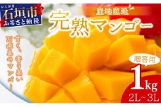 【2025年6月中旬から順次発送】2L～3L マンゴー2～3玉（1kg） 【 産地直送 旬 フルーツ 新鮮 完熟 マンゴー 石垣 沖縄 】KP-24 