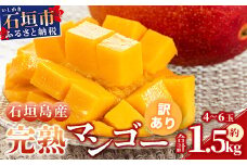 【訳あり】石垣島産マンゴー（約 1.5kg：4〜6 個）《2024年7月上旬から順次発送》【 産地直送 旬 フルーツ 新鮮 訳あり マンゴー 石垣 沖縄 】KP-12