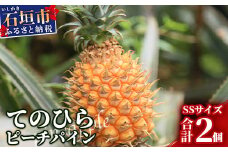 《2026年4月～7月順次発送》【先行受付】希少！濃厚！「枝先完熟・てのひらピーチパイン」【産地直送 沖縄県 石垣島 農家直送 パイン フルーツ 離島のいいもの 沖縄いいもの石垣島 】OI-2