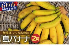 希少！特許製法で作るシリカ水で栽培する特別な「島バナナ」【ふるさと納税 沖縄県石垣市 沖縄 石垣市 石垣島 希少 無農薬 バナナ ばなな 離島のいいもの 沖縄いいもの石垣島 】OI-6