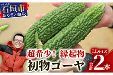 【予約受付】「最優秀賞」受賞の農家！希少品！贈答用「初物ゴーヤ」《2026年1月上旬～2026年2月中旬頃まで順次発送》【 ふるさと納税 沖縄県石垣市 沖縄 石垣 石垣島 希少 贈答 初物 ゴーヤ 離島のいいもの 沖縄いいもの石垣島 】OI-1