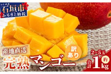 【先行予約】【訳あり】 完熟 マンゴー (約1~1.2kg 2~5個)《2025年7月上旬から順次発送》 | ふるさと納税 マンゴー わけあり 不揃い 産地直送 フルーツ 果物 マンゴー  石垣 沖縄 KP-13
