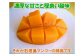濃厚な甘さ、ジューシーさ、酸味もあります。