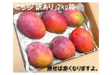 【予約受付】石垣島産 《訳あり・ご自宅用マンゴー》 約2kg エコ箱入り(3～6個入り) 2025年6月末〜7月下旬発送 【規格外】SI-30-2