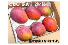 【予約受付】石垣島産 《訳あり・ご自宅用マンゴー》 約2kg エコ箱入り(3～6個入り) 2025年6月末〜7月下旬発送 【規格外】SI-30-2