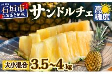 【先行予約】《2025年夏季 順次発送》【訳あり】石垣島産 サンドルチェパイン 約3.5～4kg【甘さ最高パインの「訳あり」の大小混合セット】【規格外】SI-28