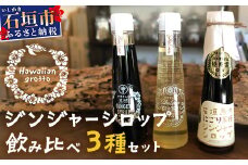 ジンジャーシロップ飲み⽐べ3種セット(120ML×3本) HW-1 【沖縄県石垣市 沖縄 沖縄県 琉球 八重山 八重山諸島 石垣 石垣島 送料無料 ⽯垣島産⽣姜 生姜 シロップ ジンジャー ジンジャーシロップ グラニュー糖 黒糖 砂糖 ⾚唐⾟⼦ 果汁 塩 ⽯垣の塩 レモングラス レモン フルーツ ミント  ギフト 国産】